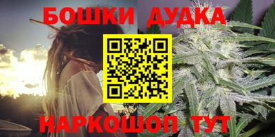дмт Новозыбков