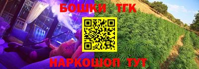 дмт Новозыбков