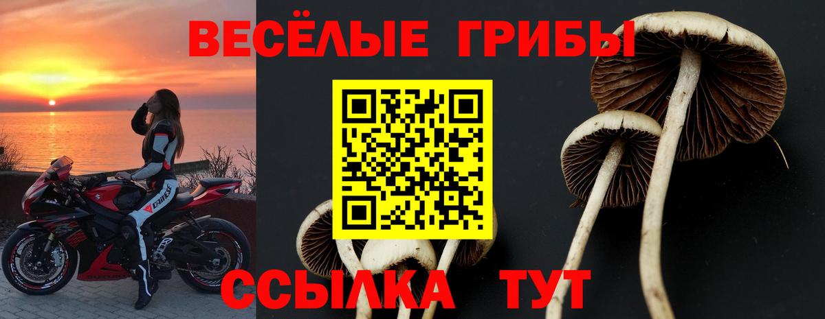Псилоцибиновые грибы прущие грибы Фрязино